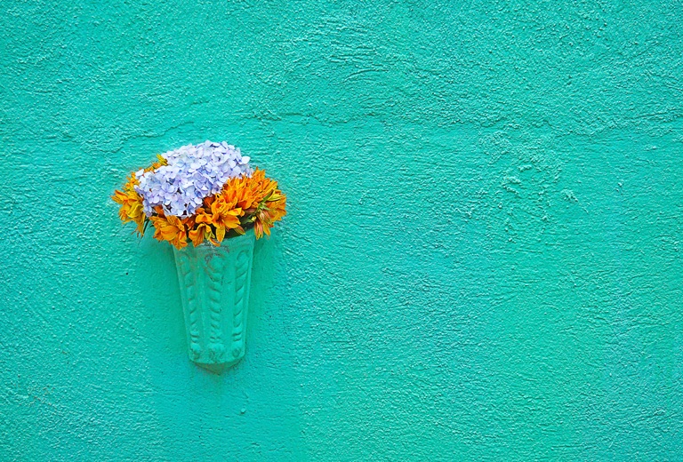 Flowers on a turqoise wall.